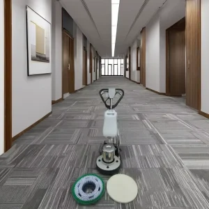 2.5HP 17-Inch AC220V Hotel Floor Polisher Machine for Burnishing