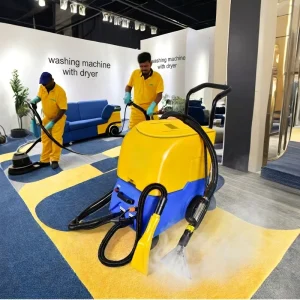 EB-400S Steam Carpet Cleaner with Spray, Foam, and Dryer Functions for Sofa, Mattress, Seat, and Car