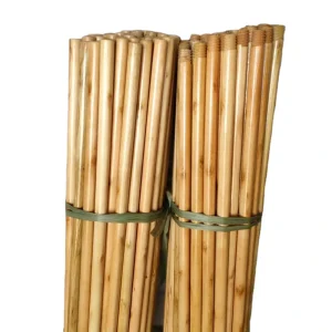 Factory Directly Sales Varnished Wooden Broom Stick Eucalyptus Home Cleaning Broom Wood Handle Floor Mop with Handle