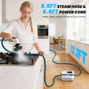Factory Price Steam Cleaning Brush Multi Functional Steam Cleaner Brush for Kitchen Bathroom Floor Upholstery Car Detailing