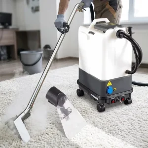 Multifunctional Hot Water Carpet Cleaning Machine Professional Rug Washer with Deep Scrubber